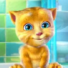 Играть Говорящий котёнок онлайн 