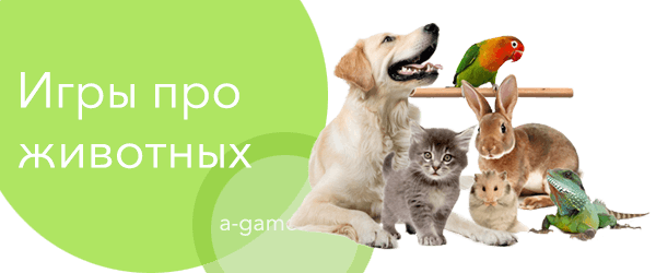 Животные - играть онлайн и бесплатно игры про животных